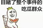 娱乐吃瓜群众组织,吃瓜群众组织的幕后故事